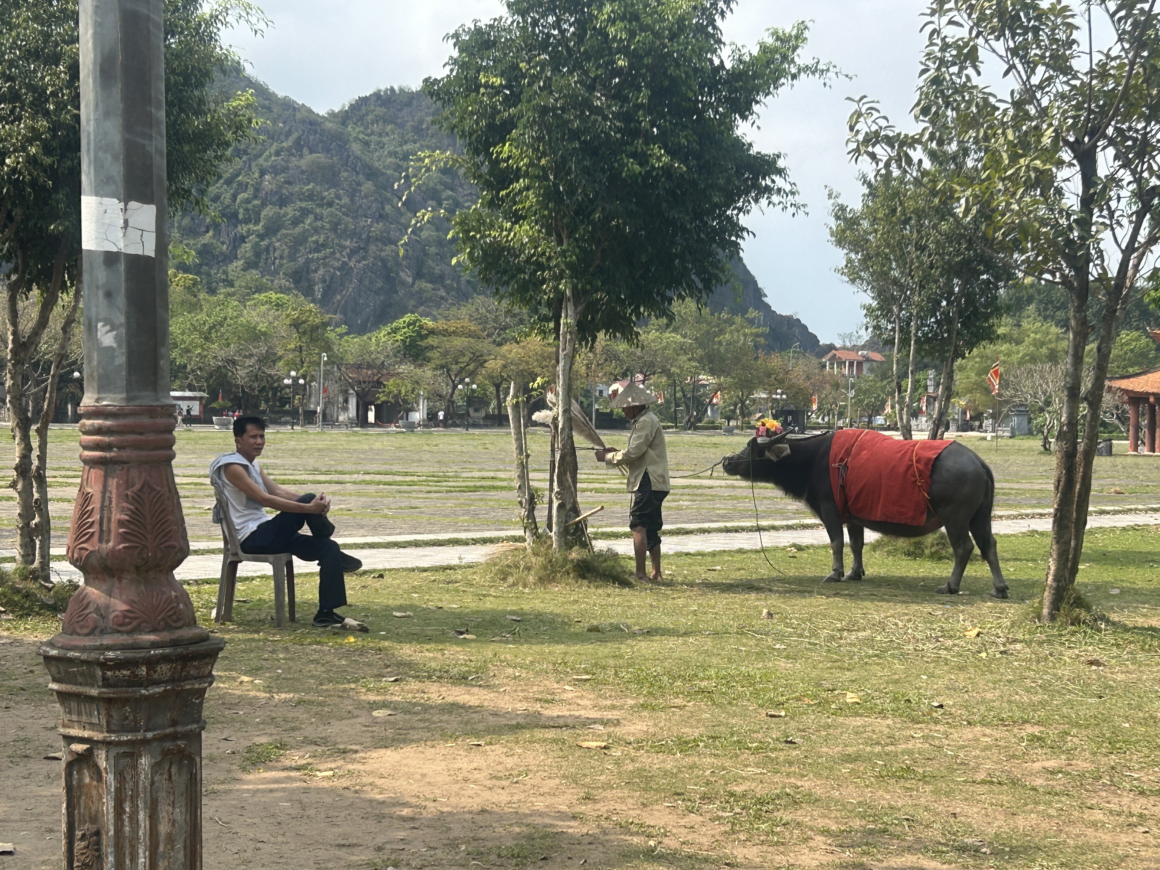 Foto